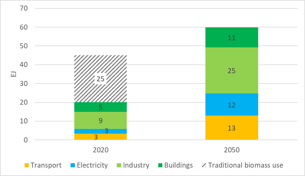Growth of bioenergy in global final energy consumption